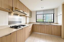 Central Green Condominium (D3), Condominium #619391521